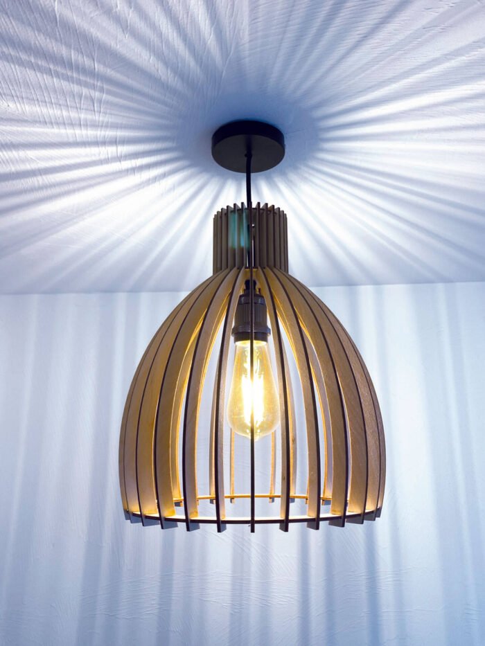 suspension home