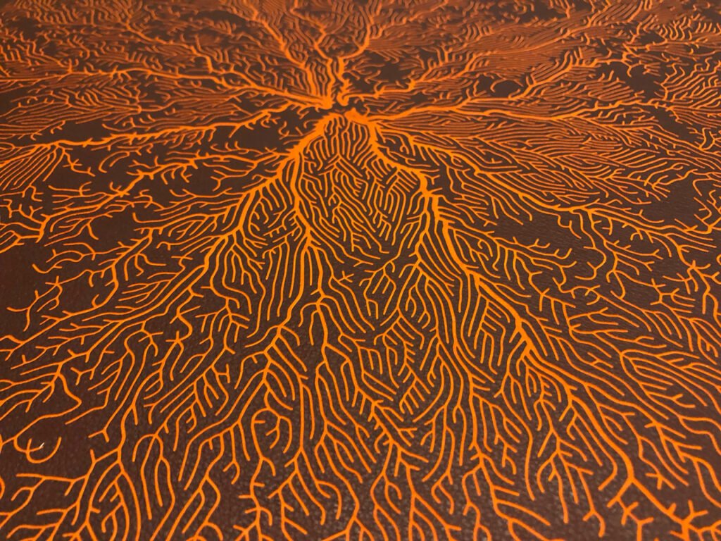 tableau cuir grave roots marron orange zoom